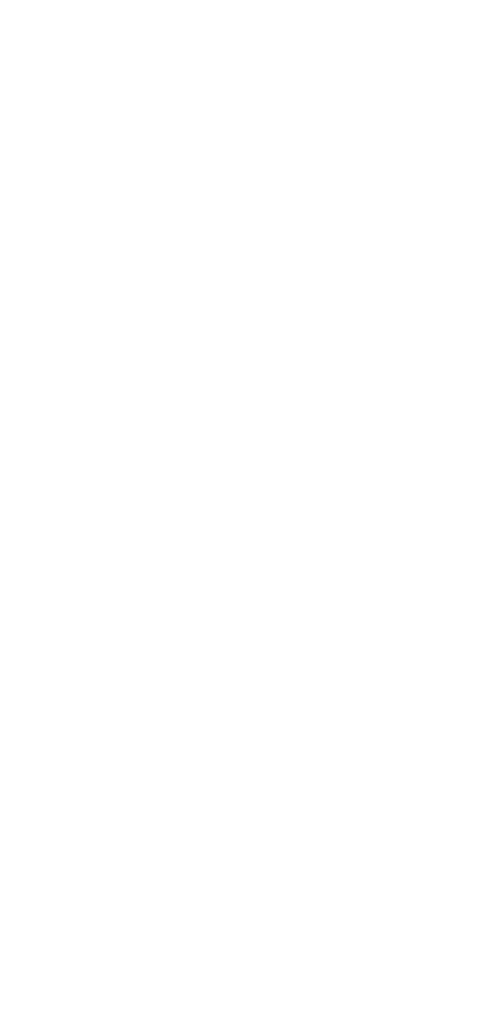 UNDP